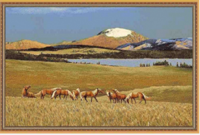 Монгольский ковер
 6S1185 82 пейзаж лошади