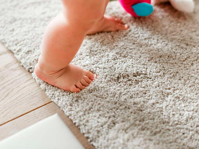 Сухая чистка ковров в домашних условиях